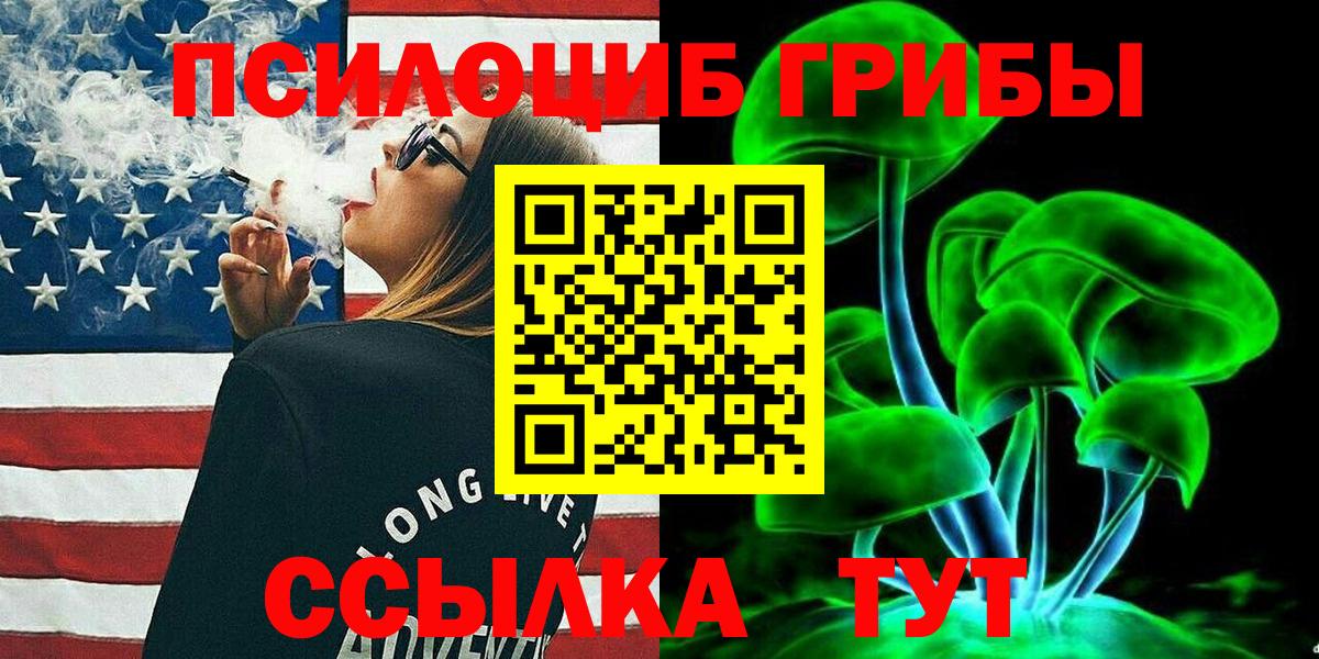 Псилоцибиновые грибы GOLDEN TEACHER  Вход с VPN  Вологда 