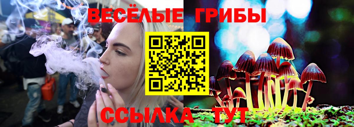 Псилоцибиновые грибы мицелий Вологда